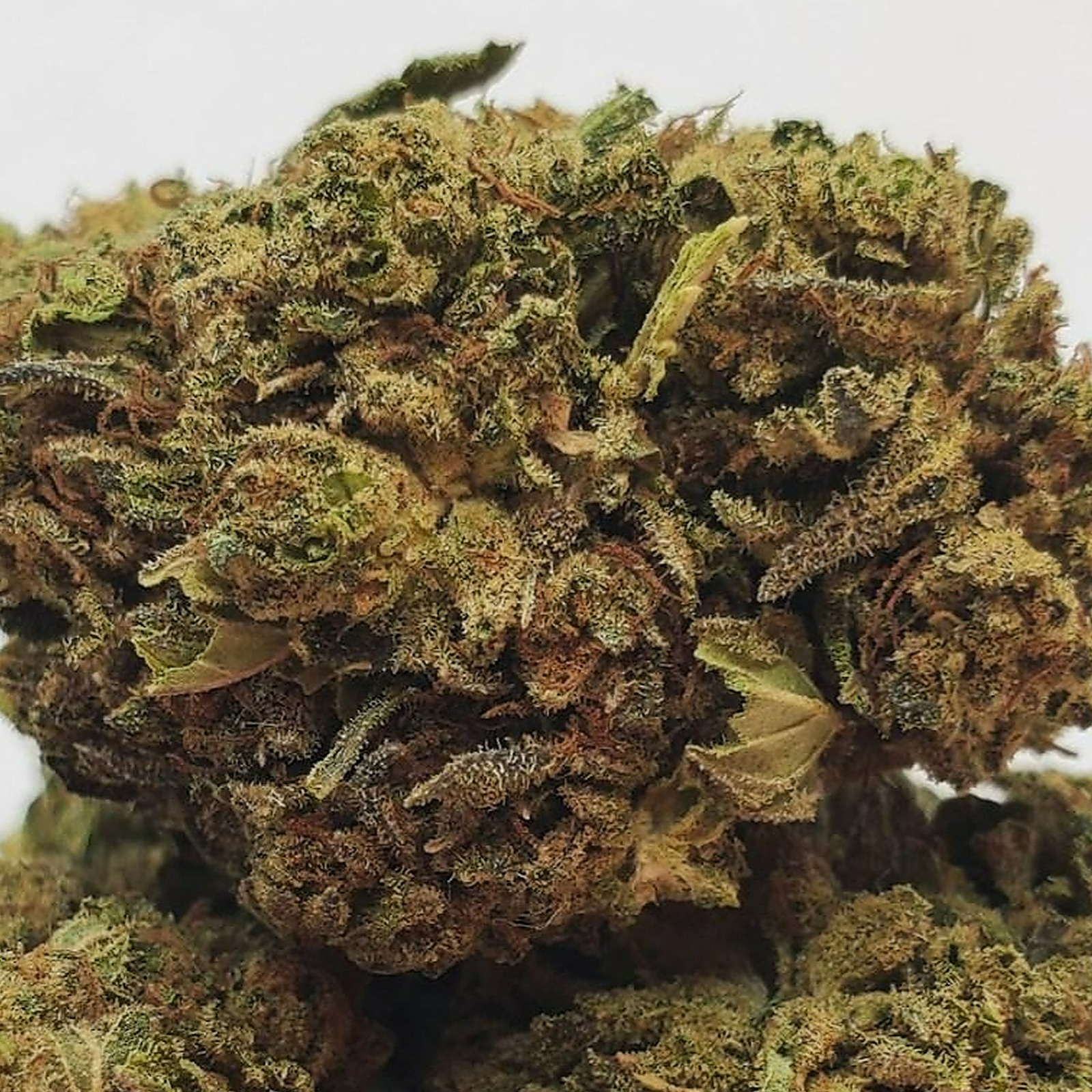 Bubba Kush Hemp Flower